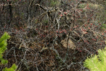 Similar image 2608390