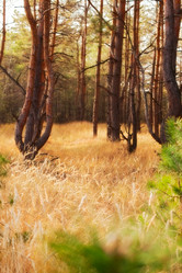 Similar image 2608392