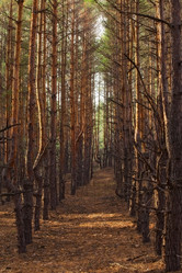 Similar image 2608403