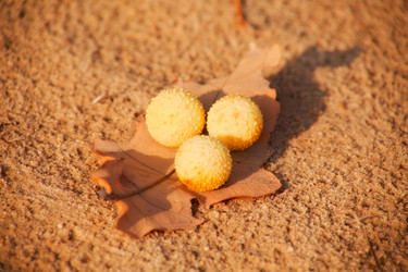 Similar image 2608404