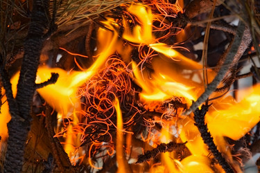 Similar image 2608405