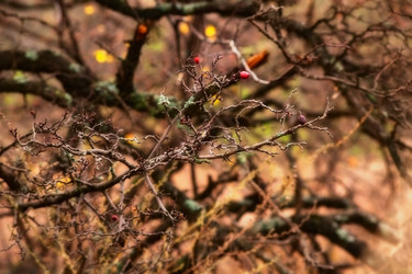 Similar image 2608407