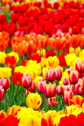 Similar image 2608422