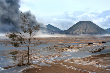 Similar image 2608566