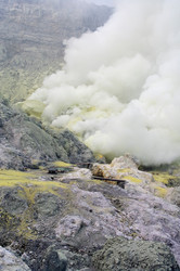 Similar image 2608616