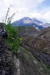 Similar image 2608641