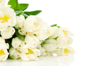 Similar image 2608696