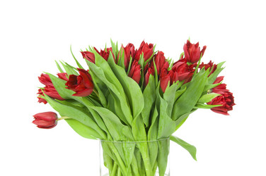 Similar image 2608699