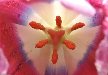 Similar image 2608711