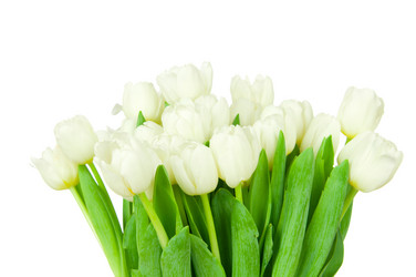 Similar image 2608712