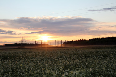 Similar image 2609343