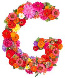 Similar image 2609555