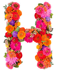 Similar image 2609556