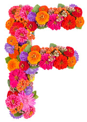 Similar image 2609558