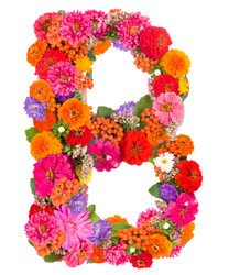 Similar image 2609563