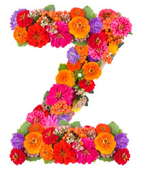 Similar image 2609571