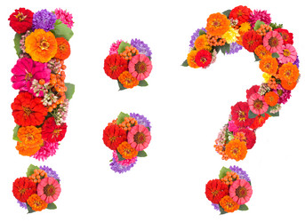 Similar image 2609574