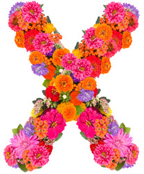 Similar image 2609575