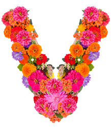 Similar image 2609580