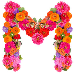 Similar image 2609584