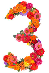 Similar image 2609661