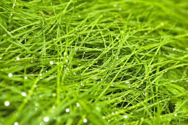 Similar image 2609789