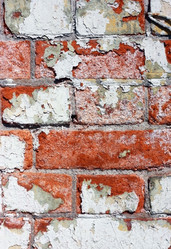 Similar image 2609849