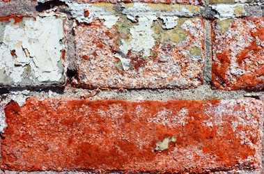 Similar image 2609854