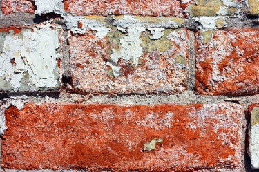 Similar image 2609857