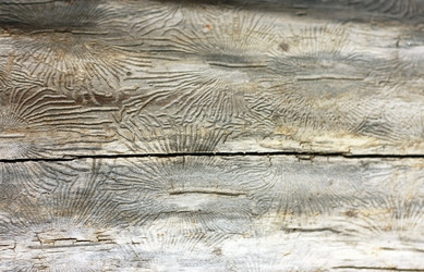 Similar image 2609917