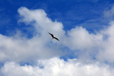 Similar image 2609953