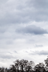 Similar image 2609974