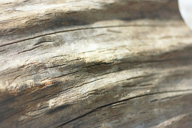 Similar image 2610008