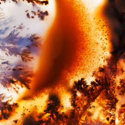 Similar image 2610019