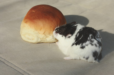 Similar image 2610071