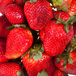 Similar image 2610075