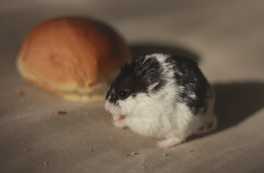 Similar image 2610258