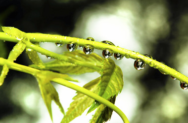 Similar image 2610265