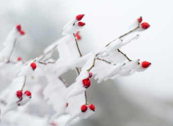 Similar image 2610817