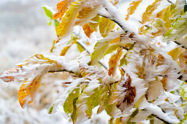 Similar image 2610818