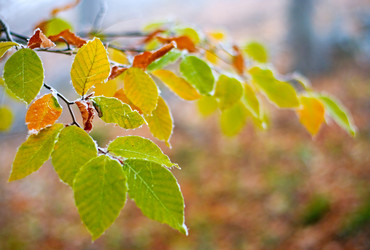 Similar image 2610819