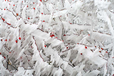 Similar image 2610821