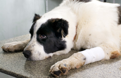 Similar image 2610824