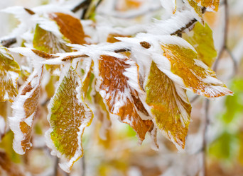 Similar image 2610827