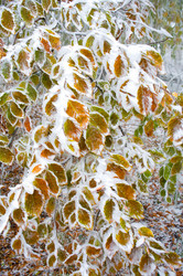 Similar image 2610828