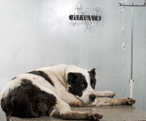 Similar image 2610855