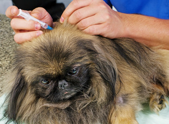 Similar image 2610862