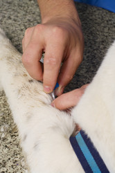 Similar image 2610867