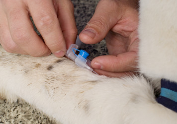 Similar image 2610868