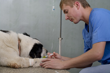 Similar image 2610869